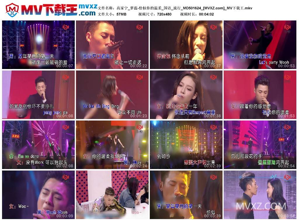 高家宁_萝蕊-恰似你的温柔_国语_流行_MD501624